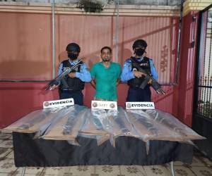Agentes de la Dirección Anti Extorsión y Asociaciones Terroristas (DAET), capturaron al hombre de 45 años de edad, cuando transportaba las armas en un saco de nylon.