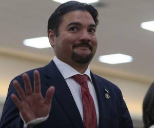 Javier Bu Soto, se desempeñó como canciller de la República en los últimos siete meses del gobierno de Libre.