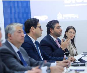 Las autoridades gubernamentales oficializaron el DNI digital el cual tiene validez jurídica al ser publicada la resolución en el Diario Oficial La Gaceta.