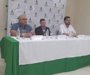 Las autoridades del Instituto de Acceso a la Información Pública (IAIP), encabezadas por el comisionado presidente Hermes Omar Moncada, muestra preocupación por fallas en el Portal Único de Transparencia.