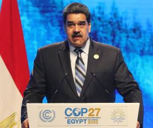 El juez estadounidense Alvin Hellerstein ordenó este lunes apartar al abogado <b>Bruce Fein</b> de la defensa del presidente venezolano<b> </b>Nicolás Maduro.