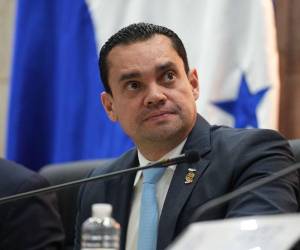 El presidente del Congreso Nacional, Tomás Zambrano, afirmó que la elección será basada en méritos.