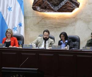 El Congreso Nacional publica mes a mes las erogaciones de los gastos por concepto de subvenciones para los diputados, no obstante, no divulga las liquidaciones.