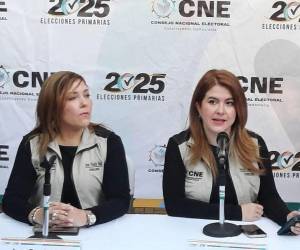 “No podemos estar revelando, se especula mucho, tenemos ciertos deberes respecto de la confidencialidad de los procesos”, indicó López sobre el tema de la licencia.