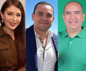 Desde nuevos rostros hasta otros que buscan la reelección por un curul en el Congreso Nacional, estos son algunos de los nombres más conocidos que estarán quedando como diputados para el próximo gobierno. Aunque hasta el momento el CNE no ha oficializado los resultados, estos son los candidatos que han logrado obtener la mayor cantidad de votos en sus respectivos departamentos: