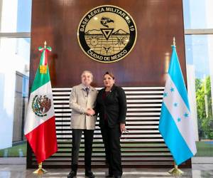 En su llegada a México, la presidenta Castro fue recibida por canciller mexicano Juan Ramón de la Fuente.