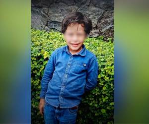 Embolsado encontraron el cuerpo de Jhonny Neptaly Gómez Vásquez, un niño de tan solo 7 años de edad, que fue vilmente asesinado tras haber sido raptado por desconocidos en Francisco Morazán. ¿Qué se sabe del caso que ha conmocionado a la población? A continuación los detalles.