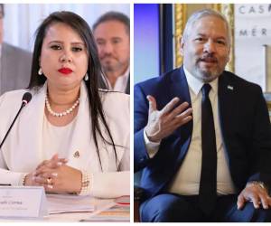 Los nombramientos de Sarahí Cerna y Enrique Reina en entes técnicos también especializados ha sido una costumbre política.