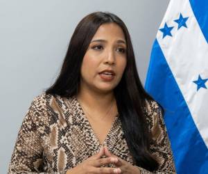 La directora de Protección del Hondureño Migrante, que hace parte de la Secretaría de<b> Relaciones Exteriores</b>, Nancy López, brindó detalles.