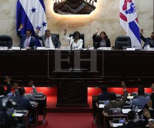 ​Uno de los ejes centrales de esta propuesta legislativa es otorgar al Consejo Nacional de Defensa y Seguridad la potestad de declarar formalmente a estas organizaciones como <b>grupos terroristas. </b>