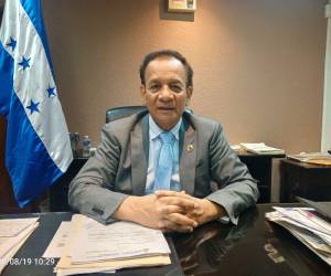 El director del Instituto Nacional Agrario (INA), Javier Talabera, dijo que la Corte Interamericana de Derechos Humanos (CIDH) falló en contra de la comunidad garífuna de San Juan, Tela, Atlántida.