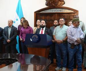 Los 14 imputados son señalados por 21 delitos, entre ellos, perturbación ilícita contra el funcionamiento de las instituciones, violación de los deberes de los funcionarios, usurpación de funciones y falsedad en documentos públicos.