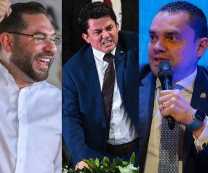 El diputado Fabricio Sandoval tuvo que ser corregido por Jorge Cálix y Tomás Zambrano.