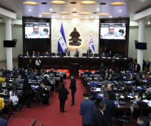 Los diputados aprobaron asignaciones presupuestarias a la Fundación Esperanza Patepluma, asilo el Buen Samaritano y para el Centro de Rehabilitación Integral de Puerto Cortés.