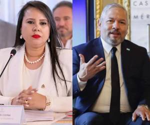 Los nombramientos de Sarahí Cerna y Enrique Reina en entes técnicos también especializados ha sido una costumbre política.