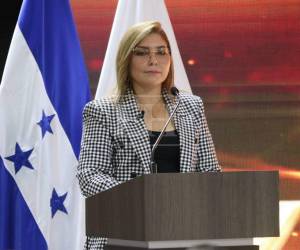La consejera Ana Paola Hall expuso los escenarios que, según el informe del CNE, marcaron la crisis electoral.