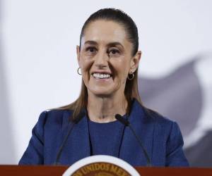 Shienbaum dijo que el sábado ofrecerá conferencia de prensa que tenía prevista para el domingo sobre el sargazo.