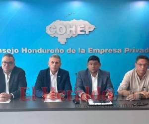 Los miembros del comité de hidrocarburos del Cohep pidieron una estrategia integral y sostenible para combatir este ilícito.