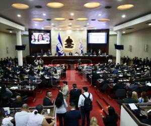 La iniciativa fue presentada durante la sesión del lunes 24 de agosto.