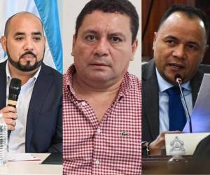 El exministro de Educación, Daniel Esponda; el presidente del Prichpma, Yuri Hernández; y el actual diputado de Libre, Ever Nazael Aguilar, fueron algunos de los beneficiados con asistencias técnicas.