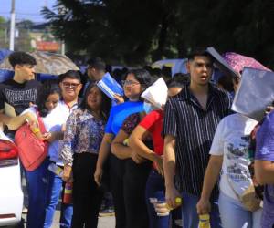 Honduras tiene 7,623,490 personas en edad de trabajar, pero poco más de la mitad participa activamente en el mercado laboral.