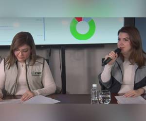 El CNE aseguró que se darán resultados dentro de los plazos establecidos en la ley, por lo que llamó a los candidatos a mantener la compostura.