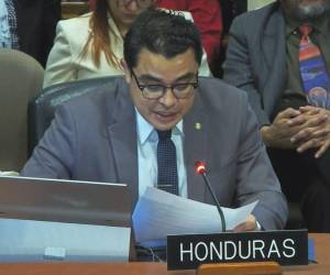 El vicecanciller de Honduras, Gerardo Torres, brindó sus consideraciones al informe de las elecciones ante la OEA.