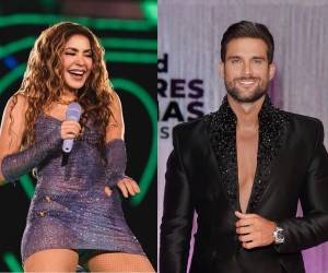 Los clips que circularon en redes sociales mostraban a Shakira en varios momentos del encuentro.