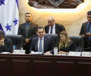 La junta directiva del CN nombrará una comisión partidaria.