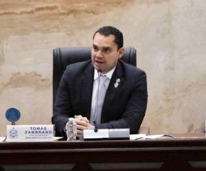 El presidente del Congreso Nacional, informó que ya se tienen los consensos con todas las bancadas para aprobar las reformas electricas.