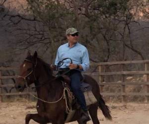 El expresidente Hernández tenía unos 15 caballos pura sangre en sus haciendas que fueron vendidos a un hermano del diputado de partido Libertad y Refundación (Libre), Victor Hugo Romero.