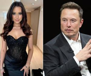 Elon Musk anunció su intención de solicitar la custodia completa de Romulus, su hijo de un año con Ashley St. Clair., de 27 años.