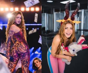 Shakira presentó anoche un adelanto del videoclip durante un concierto en Ecuador.