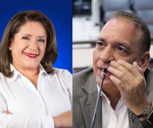 La distribución refleja el peso político de los principales partidos del país. Partido Liberal y Nacional son mayoría.