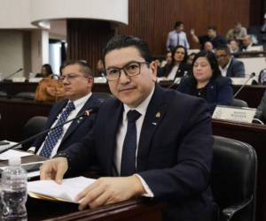 El diputado nacionalista Eder Mejía aseguró que hay una apertura total, sin distinción política.