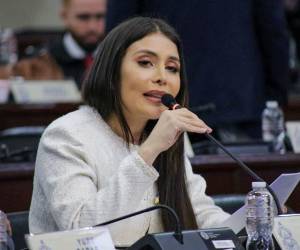 La diputada liberal Iroshka Elvir quiere eliminar los impuestos a los combustibles.