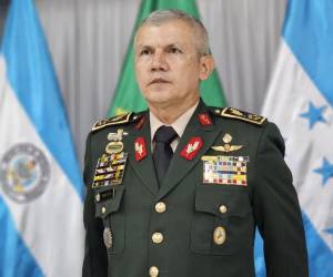 Roosevelt Hernández pretendía demandar a 12 medios del país por la publicación de investigaciones e información general relacionada con la institución y su gestión.