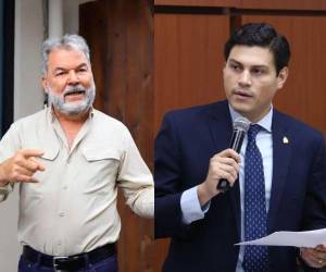 Contreras señaló que el funcionario estaría intentando mantenerse vigente en la agenda pública, debido a sus futuras aspiraciones en el mundo de la política.