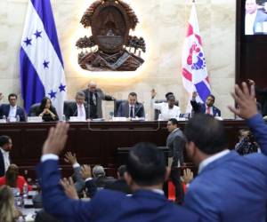 ​El titular de la cámara legislativa destacó las acciones iniciales emprendidas por la Secretaría de Gestión de Riesgos y Contingencias Nacionales (Copeco), la Secretaría de Agricultura y Ganadería (SAG) y la Secretaría de Finanzas para llevar asistencia alimentaria a los hogares afectados.