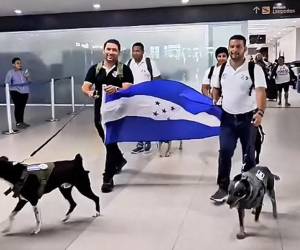 Momento en que los binomios caninos regresaban a Honduras tras apoyar las labores mundialistas en México.