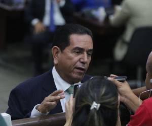 El diputado Antonio Rivera Callejas señaló que aunque el Gobierno de Nasry Asfura hubiese tenido más acercamientos para negociar la extensión del TPS, díficilmente se podría concretar al ya ser una decisión firme de Estados Unidos.