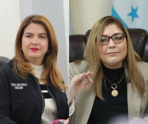 Se espera que en los próximos días las consejeras Cossette López y Ana Paola Hall presenten una licencia para dejar sus cargos de manera temporal.