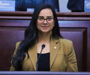La diputada Isis Cuéllar dejará que se amplíen las investigaciones para dar una versión más amplia.