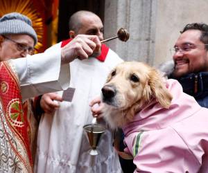 Miles de personas acudieron este 17 de enero a iglesias y plazas de toda España para participar en la tradicional bendición de mascotas con motivo del día de San Antón, patrón de los animales.