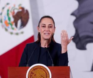 Como persona, pues ya veré si hacemos una aportación, ya lo informaré, mencionó la mandataria en la mañanera.