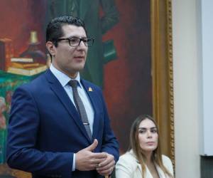 El secretario del Congreso Nacional y diputado del Partido Liberal, Francis Cabrera.