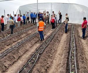 Los productores de hortalizas y café de La Esperanza, Intibucá, y autoridades de la SAG realizaron un recorrido de campo donde se realizan las inversiones con nuevas tecnologías.