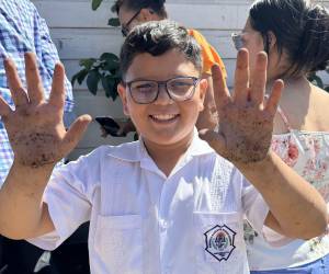 Los alumnos descubrieron cómo una diminuta semilla, cuidada con dedicación y trabajo en equipo, es capaz de transformarse en el alimento.