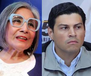 Las declaraciones surgen después de que el consejero Marlon Ochoa interpusiera un recurso de inconstitucionalidad en contra del juicio político que se promueve en su contra.