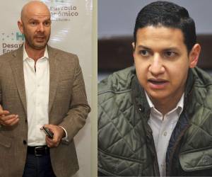 La reacción del ministro de Desarrollo Económico (SDE) se da luego que el ministro de Recursos Naturales y Ambiente, Lucky Medina, considerara como ejemplos los gobiernos de Venezuela, Cuba y Nicaragua para Honduras.